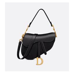 Dior Saddle